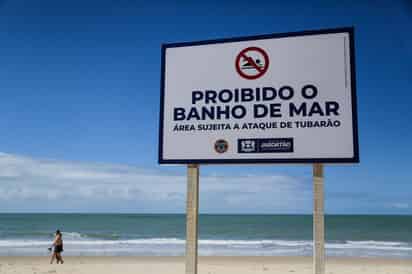 Una autofoto con las banderas y los avisos de peligro, una camiseta estampada, un imán de heladera o un llavero en forma de tiburón dividen espacio en la turística ciudad brasileña de Recife, donde cada vez más son los turistas que acuden a sus playas en busca de los escualos.