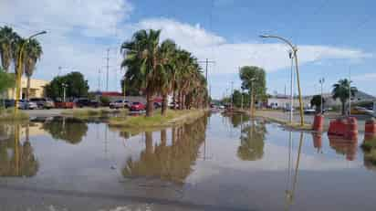 Habitantes señalan que representan problema sanitario para los niños. (MARY VÁZQUEZ)