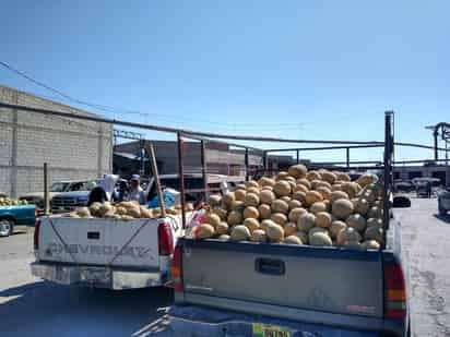 El precio favorece a los productores de melón tardío. (EL SIGLO DE TORREÓN)