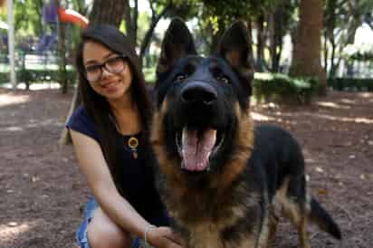 El 50 % de encuestados identifica que gastos por concepto de veterinario suelen ser los más caros. (ARCHIVO)