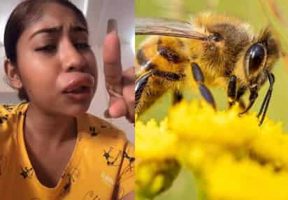 La joven mostró a través de TikTok, cómo quedaron sus labios tras haber sido picada por una abeja (CAPTURA) 