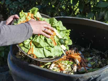 Mientras 28 millones sufren hambre, se desperdician toneladas de alimentos. (ARCHIVO)