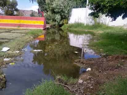 El agua sucia lleva al menos dos meses y los vecinos dijeron que ya se cansaron de exigir solución. (EL SIGLO DE TORREÓN) 