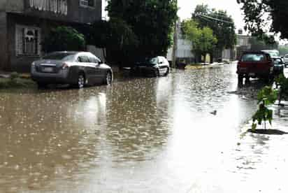 Piden a Gobierno Federal cumplir con política ambiental. (ARCHIVO)