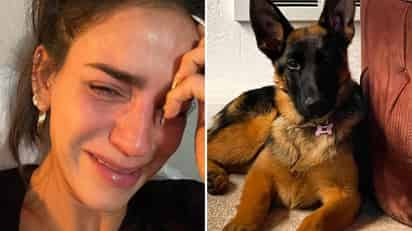 Este sábado, Bárbara de Regil, dio a conocer en sus redes sociales que su perrita murió envenenada.
