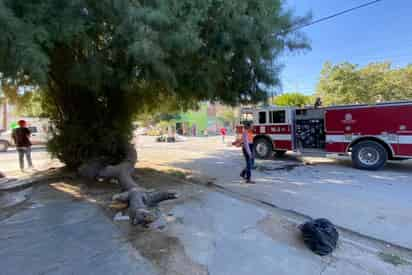 Bomberos la rescataron. (EL SIGLO DE TORREÓN)