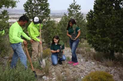 La administración del alcalde Manolo Jiménez Salinas estableció el tema del cuidado al entorno como una prioridad, por eso implementó esta Agenda Ambiental la cual consta de 25 acciones concretas.