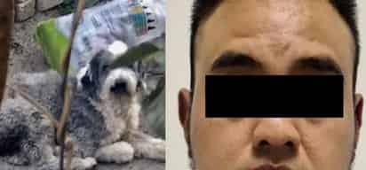 La mujer alegaba que su perro había sido el responsable de 'violar a su hija' (ESPECIAL)