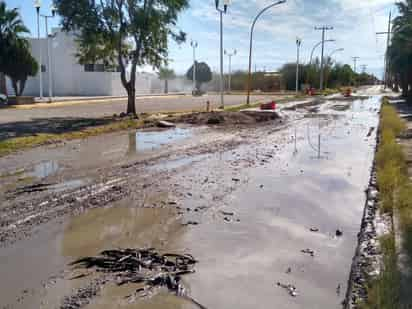 El agua ha propiciado el deterioro de la carpeta asfáltica. (MARY VÁZQUEZ)