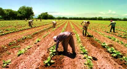 La población potencial de Sader es de 53 mil 086 comunidades, donde habita un aproximado de 12 millones 187 mil 360 personas. (CORTESÍA)