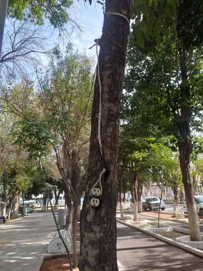 Es justo en el área cercana a los juegos infantiles, las bancas, andadores y trotapista donde se encuentra el contacto eléctrico.