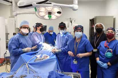 Antes fueron riñones, pero cirujanos y cardiólogos han conseguido en Estados Unidos por primera vez trasplantar el corazón de un cerdo modificado genéticamente a un humano. ¿Pueden ser los xenotrasplantes la solución a la escasez de órganos humanos? ¿Hay fronteras o límites éticos infranqueables? (ARCHIVO)