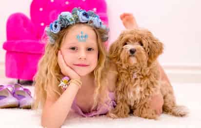 (YOUTUBE/LIKE NASTYA)