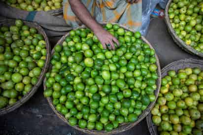 Dentro de los estados que principalmente producen este fruto están Michoacán, Veracruz y Oaxaca. (ARCHIVO)