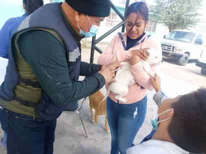 También hubo personal a cargo de la salud humana. (ARCHIVO)