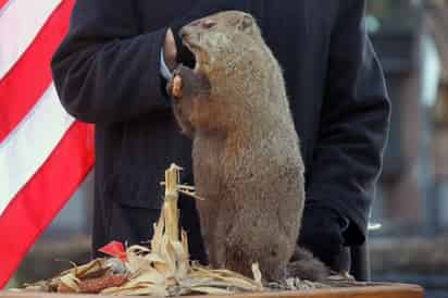 Lejos de la pompa de la tradicional ceremonia del Día de la Marmota pero con más sorna si cabe, Washington sacó este miércoles de la madriguera a su particular roedor, que a diferencia del original, no solo predice el clima meteorológico para las próximas semanas, sino también el político. (ESPECIAL) 