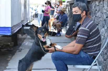 Las mascotas pueden ser portadores del virus y a su vez contagiar a seres humanos.  (EL SIGLO COAHUILA)