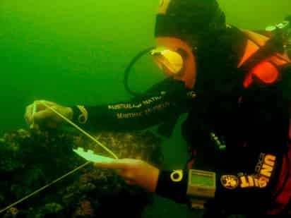 Expertos marítimos de Australia anunciaron el jueves que creían haber hallado los restos de uno de los barcos más importantes en la historia del Pacífico Sur tras haber sido hundido en Estados Unidos hace más de 200 años. (ARCHIVO) 