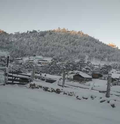 Una total de 94 localidades de 9 municipios de Durango registraron caída de nieve.