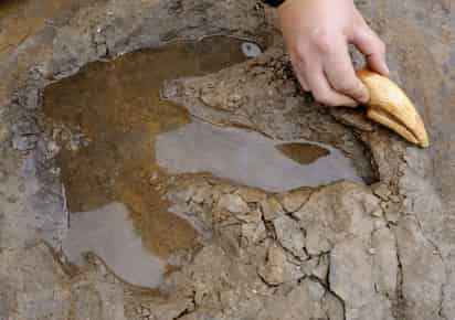 Las huellas encontradas en Coahuila representan un gran hallazgo, pues pocos lugares cuentan con pisadas de tal antigüedad. (ARCHIVO)