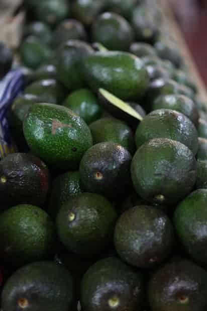 En las últimas seis semanas, productores de aguacate de Michoacán han exportado a Estados Unidos más de 135 mil toneladas de aguacate. (ARCHIVO)