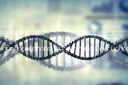 El estudio, publicado en la revista Molecular Cancer, muestra que más del 82% de los pacientes con este cáncer tienen niveles altos del gen RRAS2 y que las cantidades más altas de este gen están relacionados con leucemias más agresivas. (ESPECIAL)