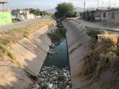 Las aguas negras generan un gran foco de infección para cientos de familias de 10 a 12 colonias cercanas.
