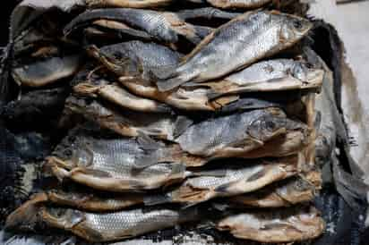 Las sugerencias que hace la Profeco son las siguientes: Comprar el pescado en establecimientos que cuenten con equipos de refrigeración y congeladores que garanticen la frescura del producto.  (ARCHIVO)