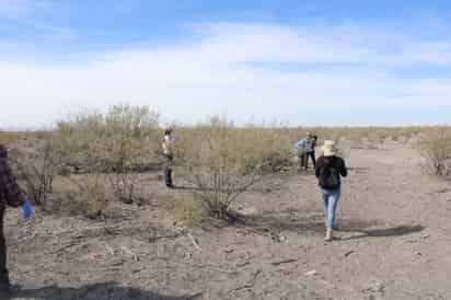 El plan emergente se puso en marcha el pasado lunes en el ejido Patrocinio del municipio de San Pedro de las Colonias, según informó el Centro Regional de Identificación Humana.