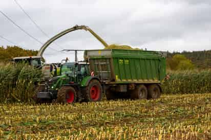 Estados Unidos produce el 11% del trigo mundial y el 33% del maíz. (ARCHIVO)