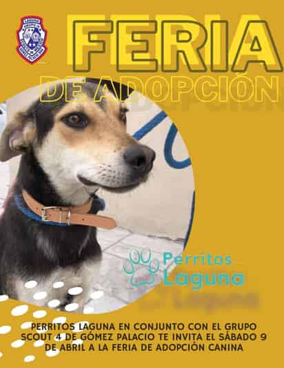 (ESPECIAL)