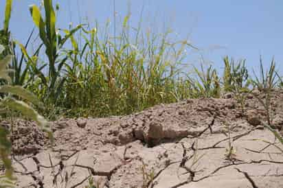 Son años más secos cuando se presentan lluvias menores a 10 milímetros en periodo de enero a abril.