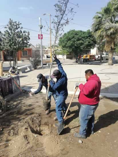 Se acudió a la plaza pública de la colonia Bugambilias.