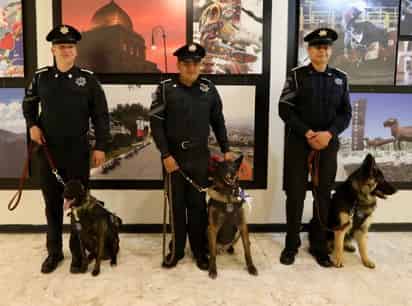 Darko, elemento canino de 9 años, es jubilado y condecorado en Saltillo