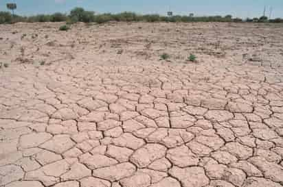 Escasez de agua seguirá mientras no hay un control de la sobreexplotación, señala Contraloría Ciudadana del Agua. (EL SIGLO DE TORREÓN)