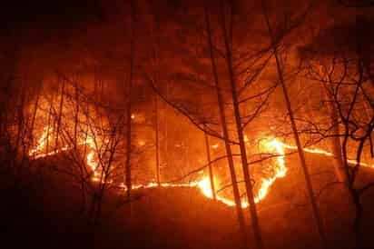 El jueves, más de 3,000 bomberos combatían los incendios en Arizona y Nuevo México. (ARCHIVO)