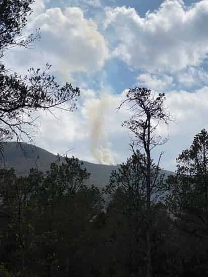 Diez brigadistas subieron a la zona de conflicto, a fin de replantear un punto estratégico.