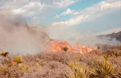 Fuera de control, incendio forestal en Arteaga