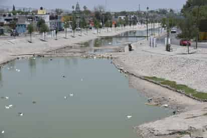 Entre las principales afectaciones de la sequía están los daños al ecosistema del cause (muerte y migración de patos y demás especies).