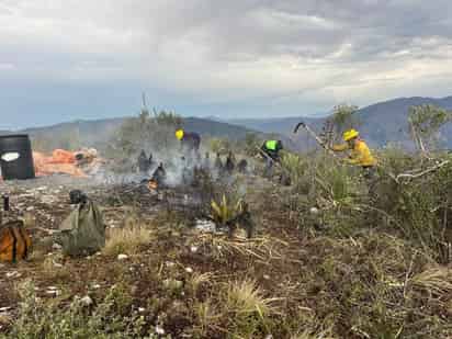 Incendio en Arteaga, controlado a un 75 %