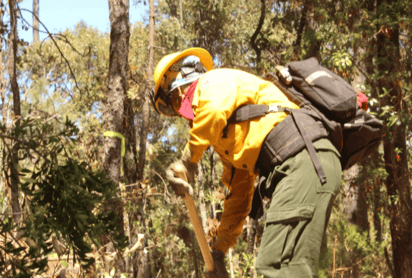 Las actividades humanas provocan el 99 % de los incendios forestales. (EL SIGLO DE TORRÉON)
