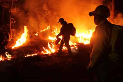 Los municipios con más incendios forestales activos son: Mezquital y Pueblo Nuevo. (EL SIGLO DE TORREÓN)