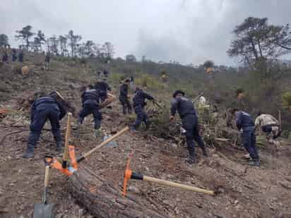 Policía Municipal y Grupo de Reacción Sureste se suman a acciones de combate a incendio en Sierra Hermosa
