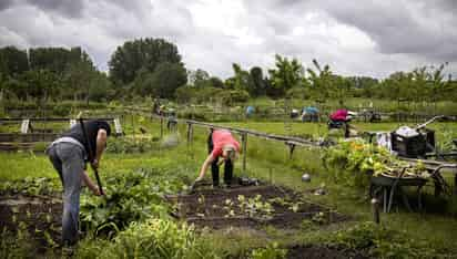 La crisis energética no hace más que empeorar este panorama por el aumento de los costes de la agricultura, del transporte de los alimentos y de los fertilizantes. (ARCHIVO)