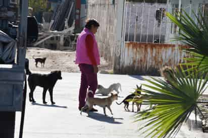 Es importante que la población atienda la desparasitación y vacunación de las mascotas. (EL SIGLO DE TORREÓN)