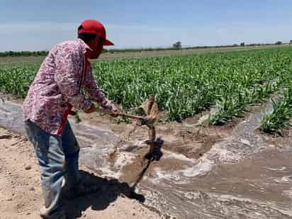 El IGAE es un indicador preliminar de distintos sectores que muestra la tendencia o dirección que la economía mexicana tendrá en el corto plazo. (ARCHIVO)