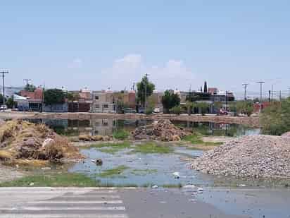 Vecinos de Campo Nuevo Zaragoza padecen de malos olores y un ambiente insalubre por los brotes sin control de aguas negras.
