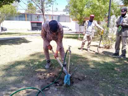 El Ayuntamiento de Torreón busca evitar que las plazas públicas sean regadas con agua potable, en su lugar se utilizará agua tratada. (EL SIGLO DE TORREÓN)