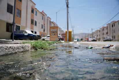 Afirma jefe de Servicios Públicos, Fernando Villarreal, que solo una minoría de ciudadanos optar por ensuciar las calles. (EL SIGLO DE TORREÓN)