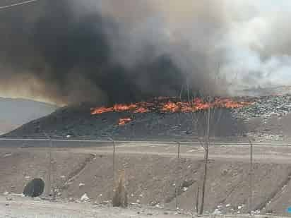 El personal del departamento de Bomberos atendió el reporte.